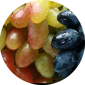Lignes De Traitement Des Fruits Et Légumes