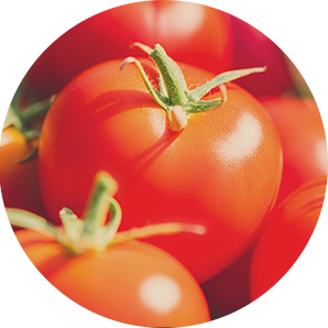 Lignes De Traitement Des Fruits Et Légumes