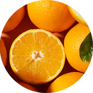 Lignes De Traitement Des Fruits Et Légumes