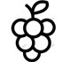 Ligne de traitement du jus et vin de raisin