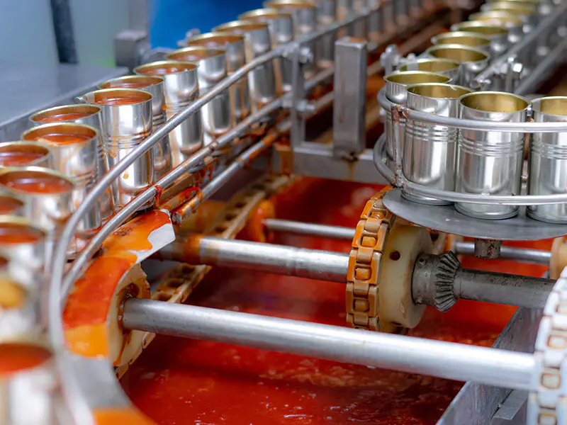 Projet de Sauce Tomate