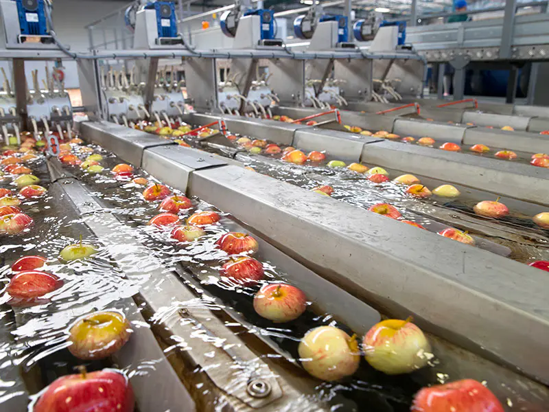 Projet de Jus de Pomme