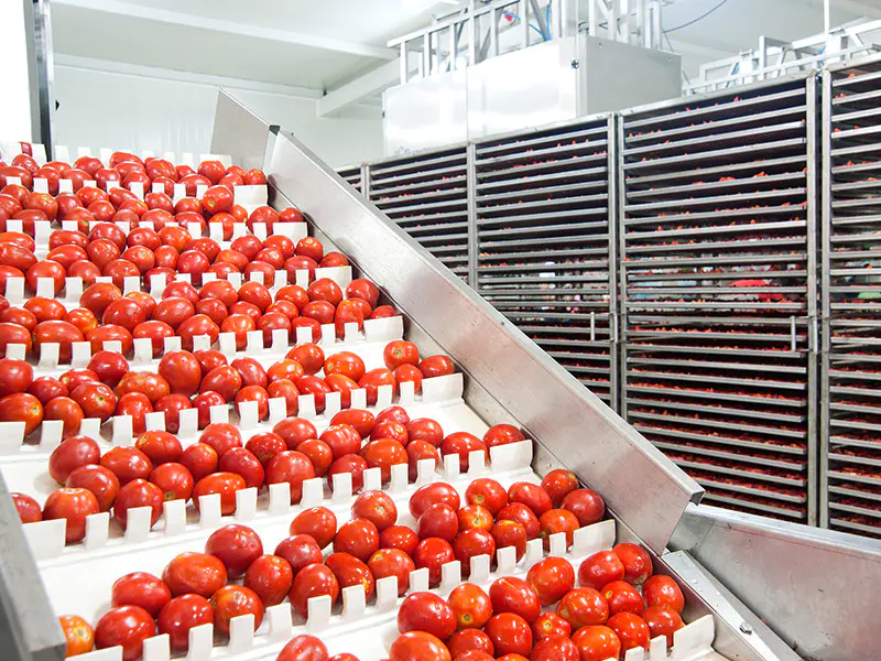 Projet de Jus de Tomate